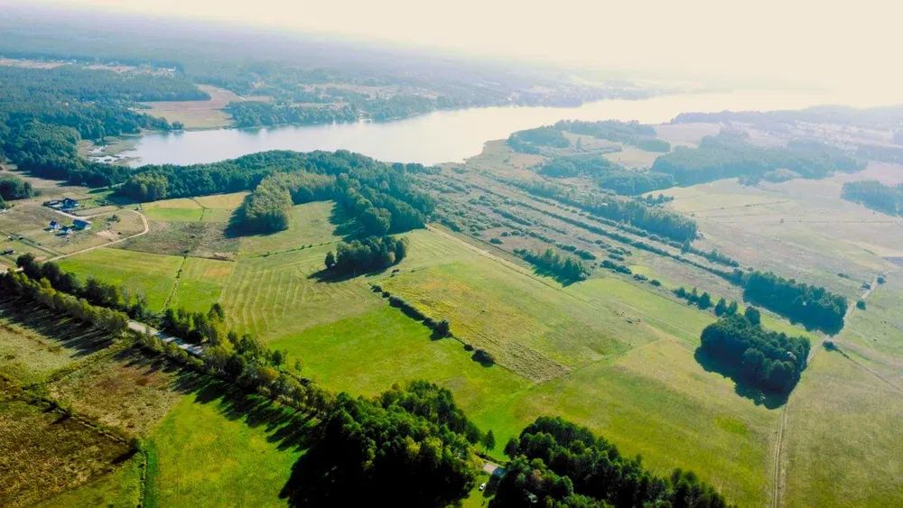 Działka rolno-budowlana Serski Las. Zdjęcie 2