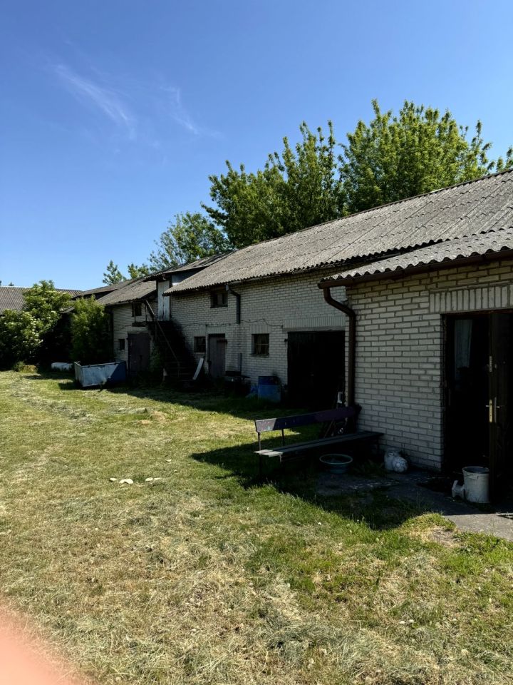 Działka siedliskowa Aleksandria. Zdjęcie 4