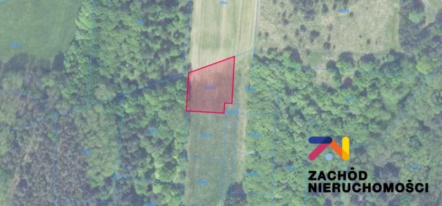 Działka budowlana Zielona Góra Racula, ul. Racula-Międzylesie. Zdjęcie 6
