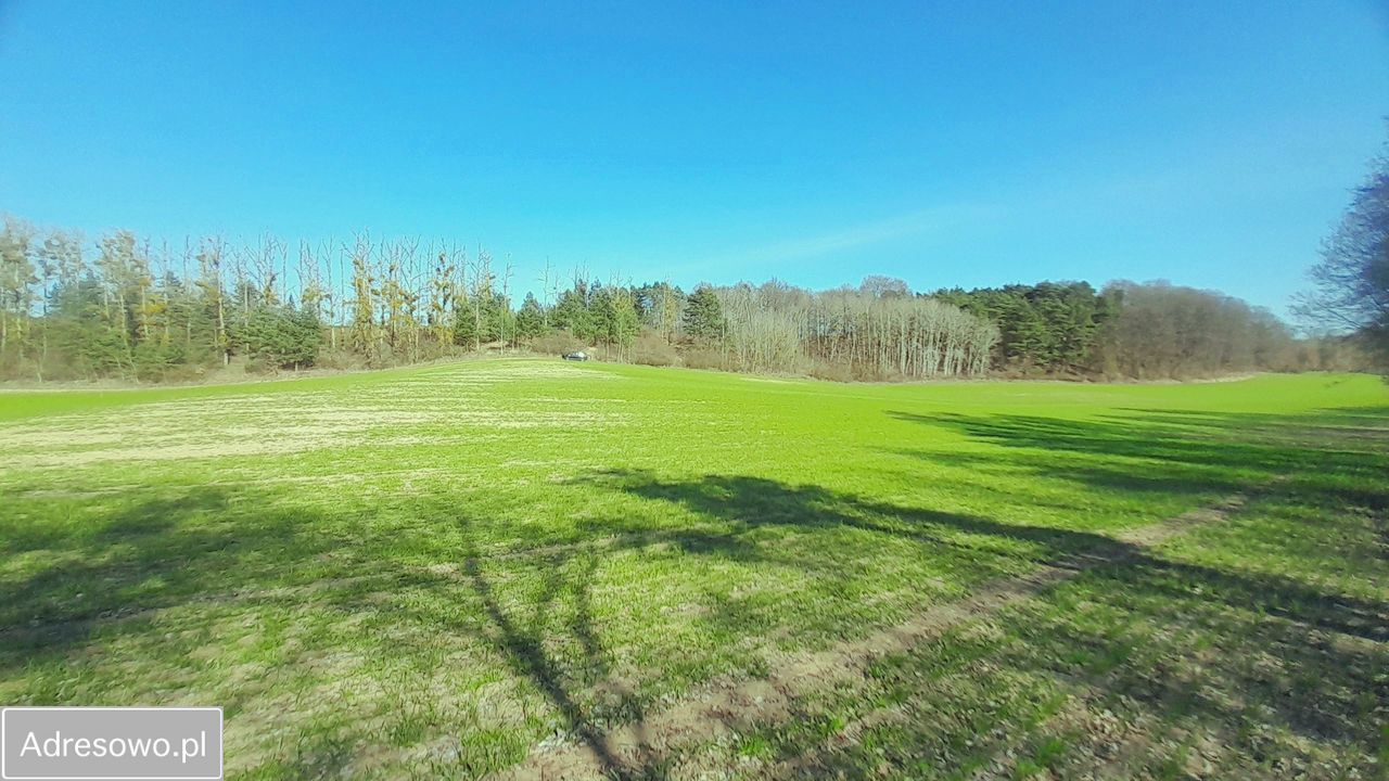 Działka siedliskowa Sieraków. Zdjęcie 16