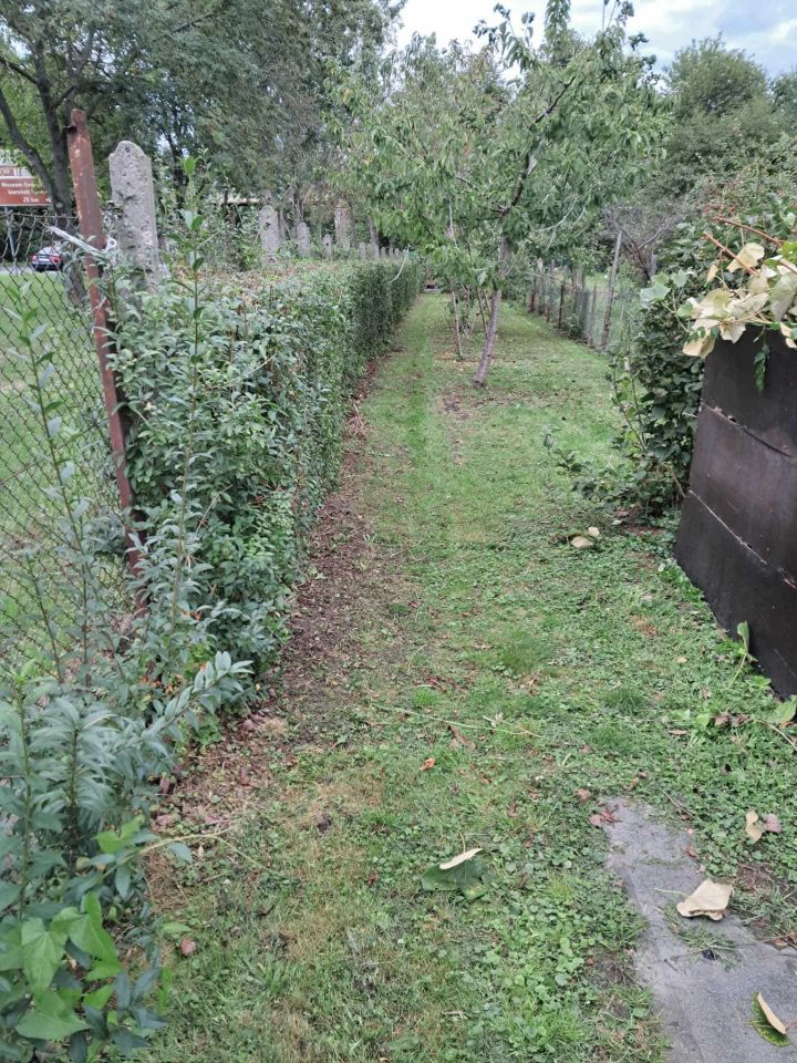 Działka rod Świdnica, ul. Esperantystów. Zdjęcie 7