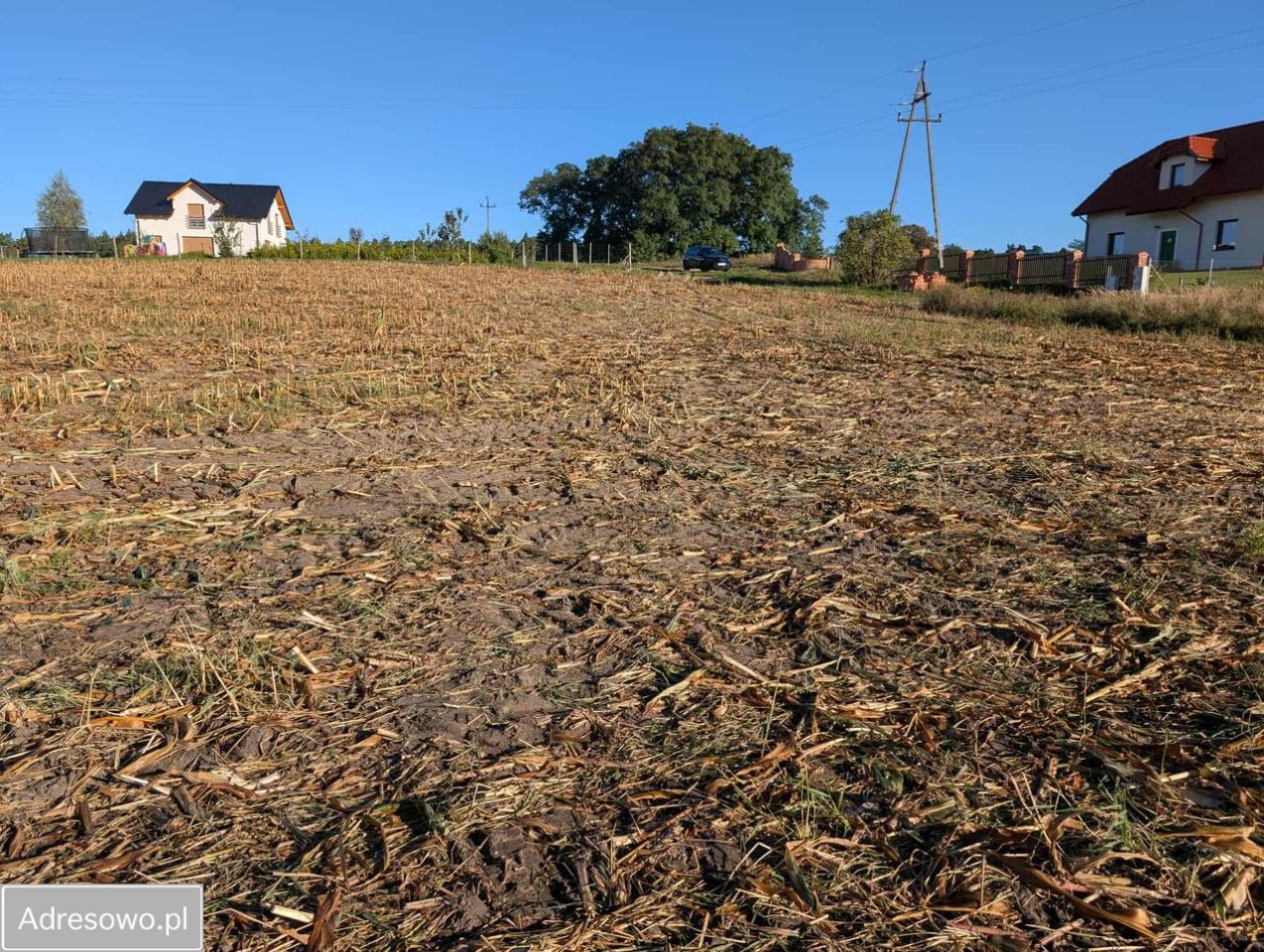 Działka budowlana Serock, ul. Leśna. Zdjęcie 10