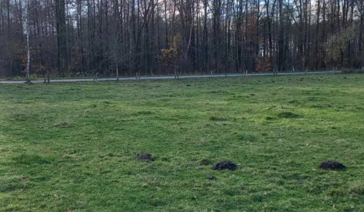 Działka budowlana Urszulin