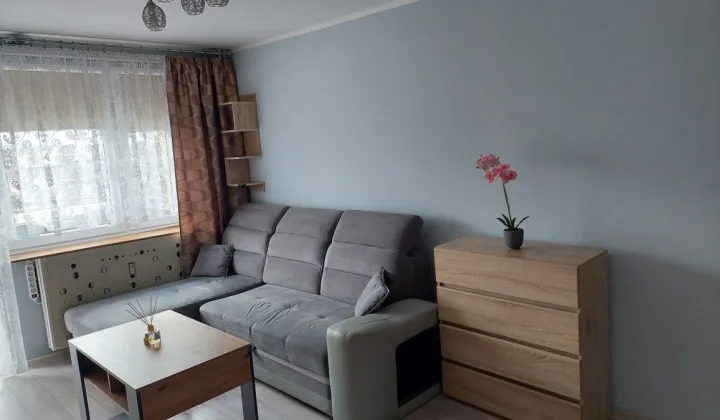 Mieszkanie 2-pokojowe Zabrze Centrum, ul. Juliana Tuwima