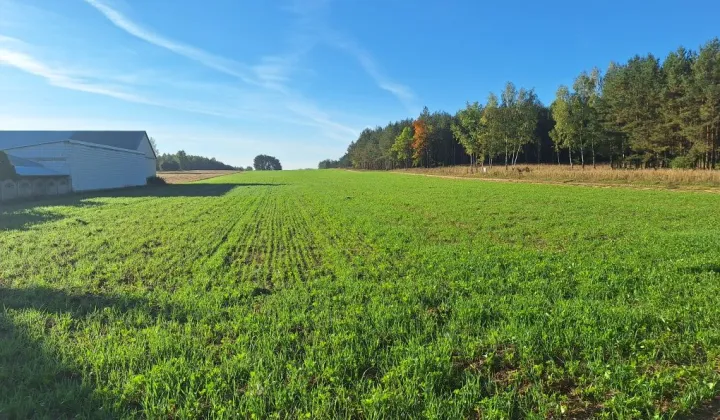Działka budowlana Kopcie
