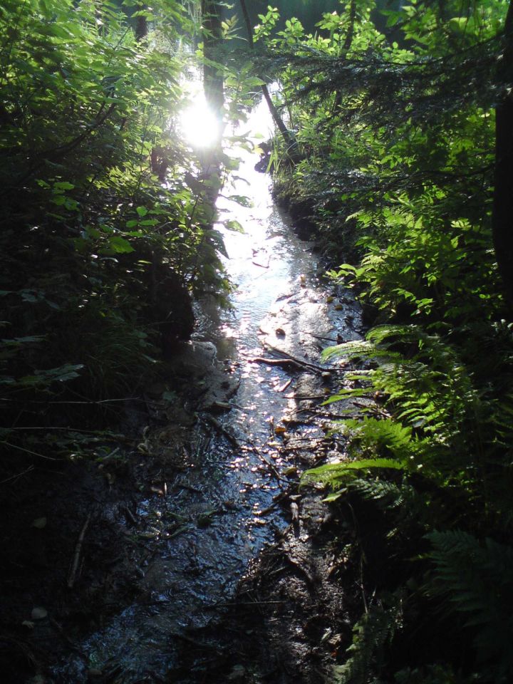 Działka rekreacyjna Górecko Kościelne. Zdjęcie 5