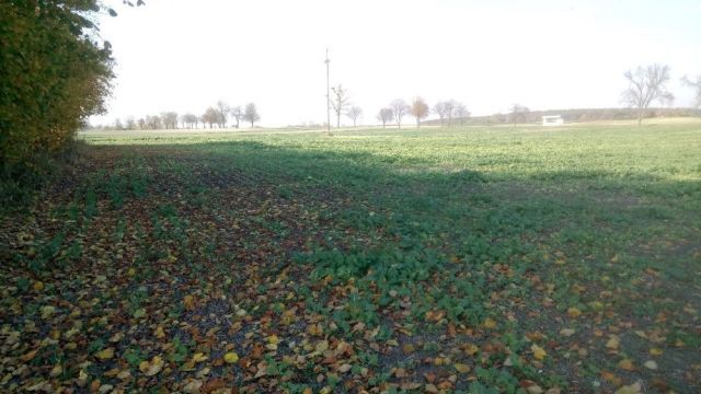 Działka inna Stołpie. Zdjęcie 5