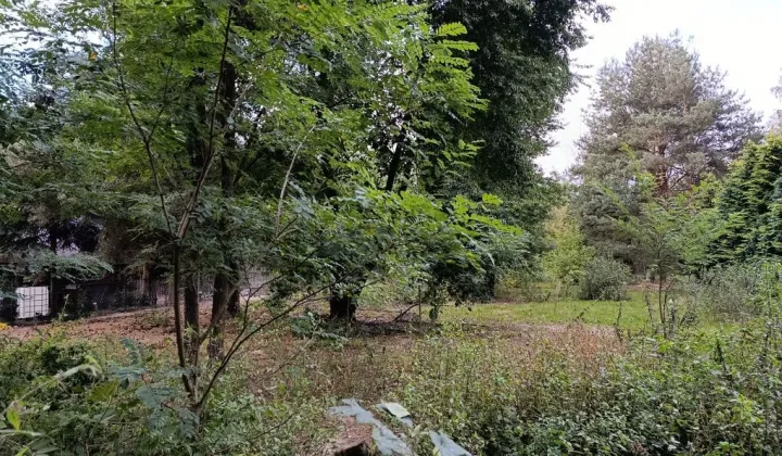 Działka budowlana Izbiska