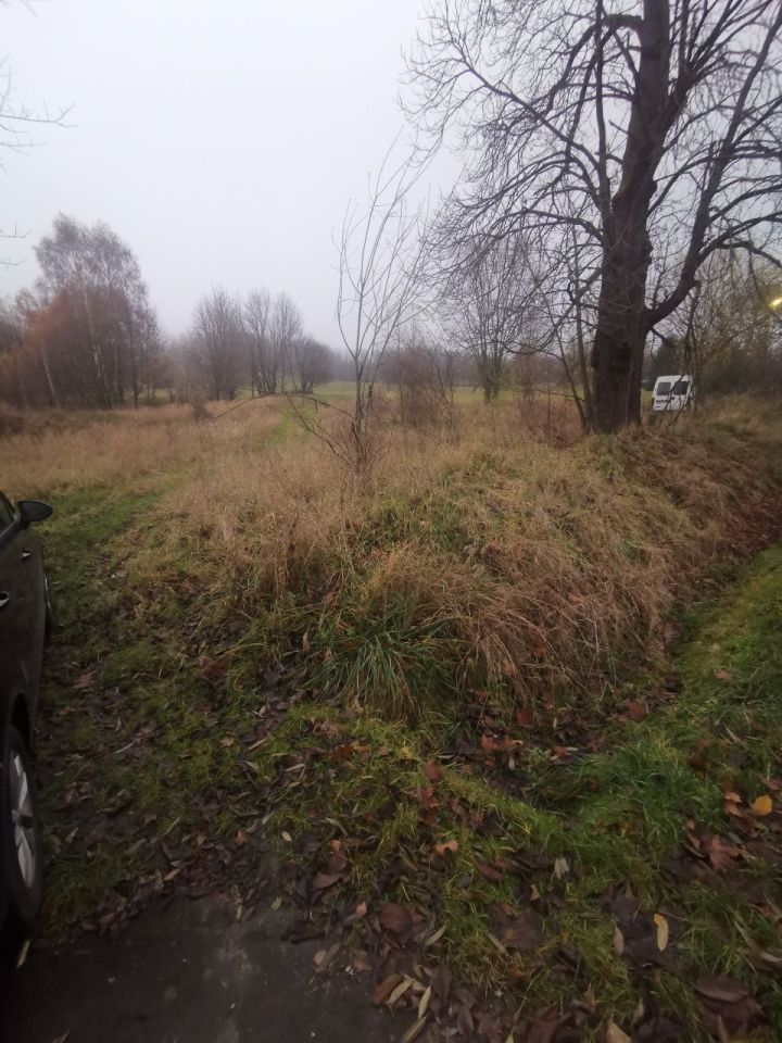 Działka rolno-budowlana Nowy Waliszów. Zdjęcie 4