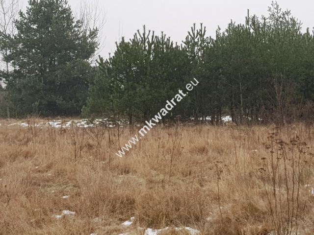 Działka budowlana Czosnów. Zdjęcie 10