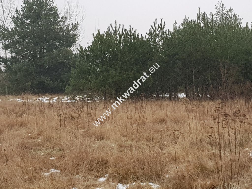 Działka budowlana Czosnów. Zdjęcie 10