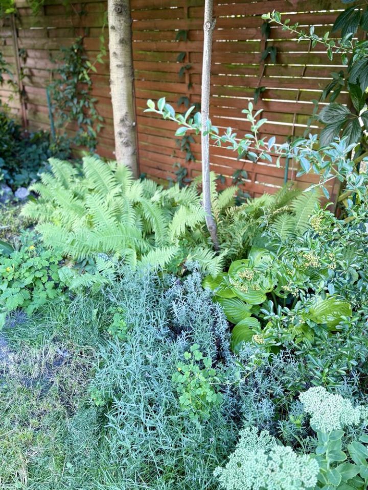 Działka rod Toruń, ul. Fabryczna. Zdjęcie 6