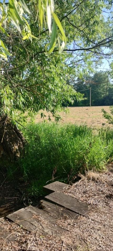 Działka rolna Strzeszkowice Duże. Zdjęcie 8