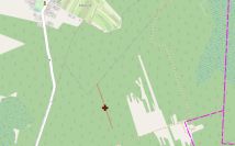 Działka leśna Hedwiżyn. Zdjęcie 1