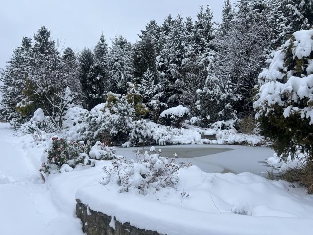 dom wolnostojący, 6 pokoi Sopotnia Mała, Żywiczka 1. Zdjęcie 1