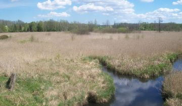 Działka rolna Złota Wieś