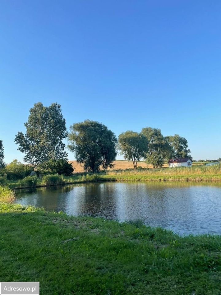 Działka siedliskowa Sulnowo. Zdjęcie 6