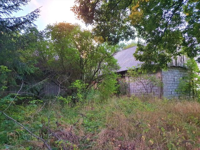 Działka siedliskowa Borek Stary. Zdjęcie 8