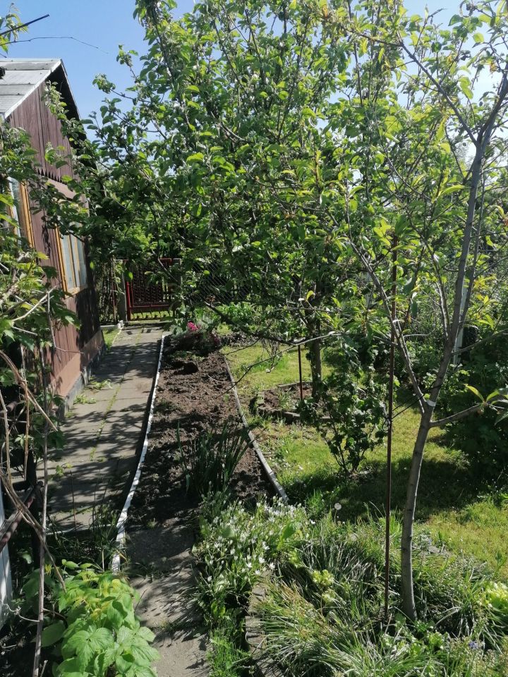 Działka rod Oświęcim. Zdjęcie 2