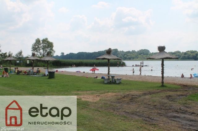 Działka budowlana Zborowo. Zdjęcie 15