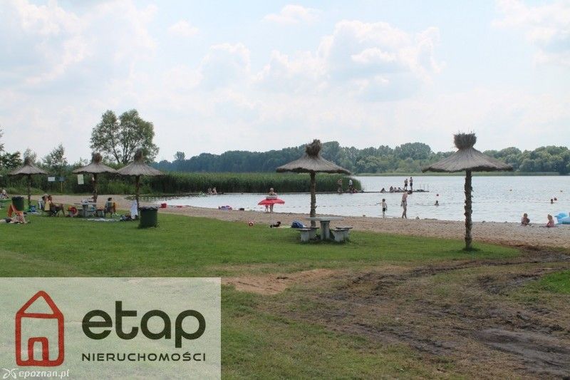 Działka budowlana Zborowo. Zdjęcie 15