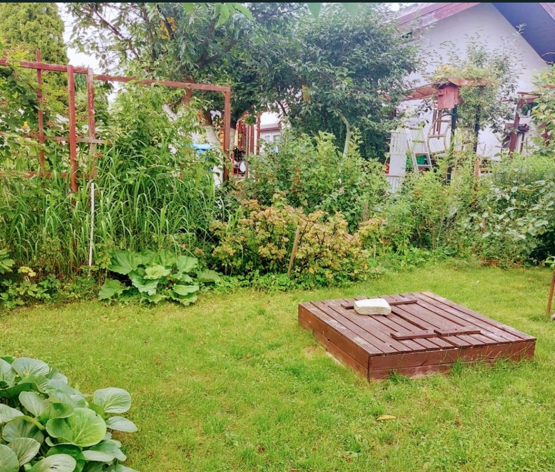 Działka rod Szczecin Krzekowo, ul. Żniwna. Zdjęcie 3