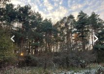 Działka rolna Trzebule. Zdjęcie 3