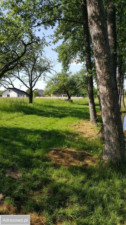 Działka inwestycyjna Żarki, ul. Koziegłowska. Zdjęcie 7