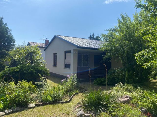 Działka rod Poznań Sypniewo, ul. Sypniewo. Zdjęcie 1