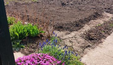 Działka rod Olsztyn