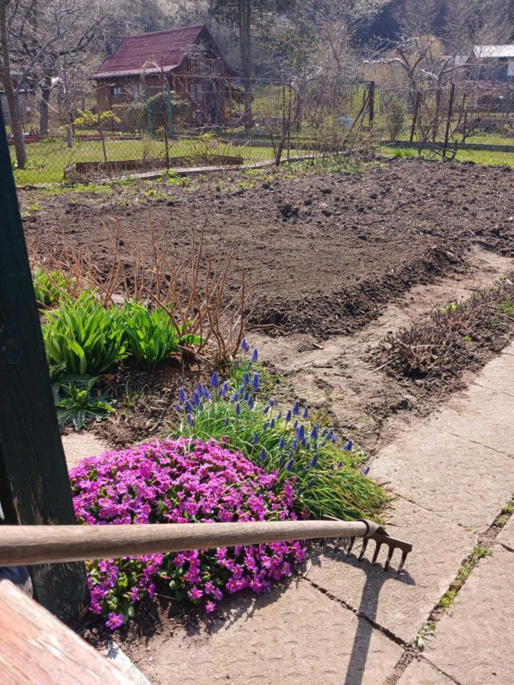 Działka rod Olsztyn. Zdjęcie 2