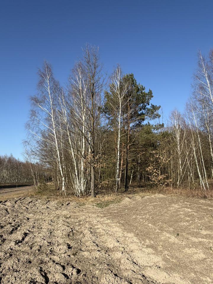 Działka rolno-budowlana Lipiny Dolne Kawęczyna, Lipiny Dolne. Zdjęcie 6