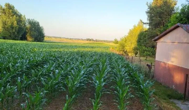 Działka rolno-budowlana Krasne Kosów