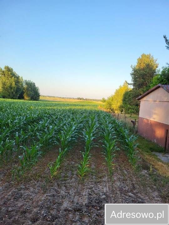 Działka rolno-budowlana Krasne Kosów. Zdjęcie 1