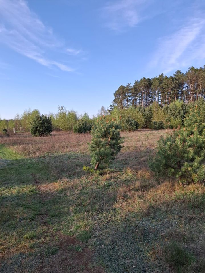 Działka budowlana Gorzów Wielkopolski, Brak. Zdjęcie 8