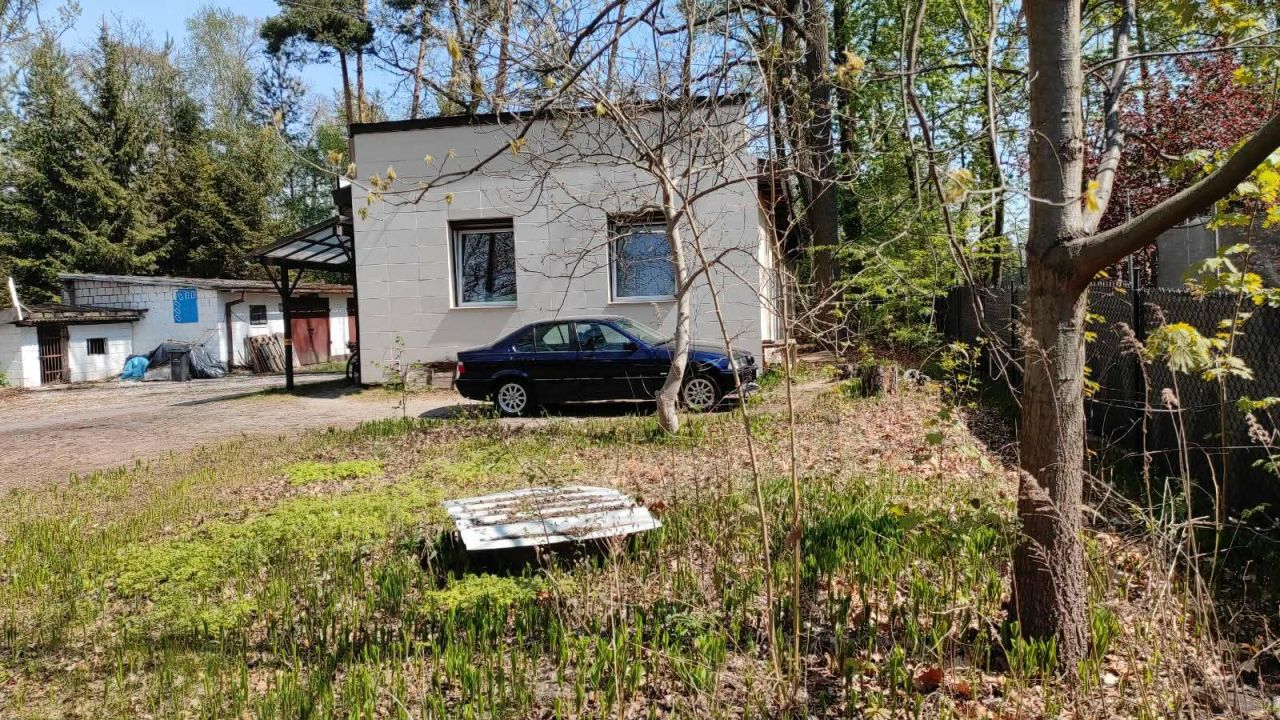 Lokal Międzyborów, ul. Partyzantów. Zdjęcie 6