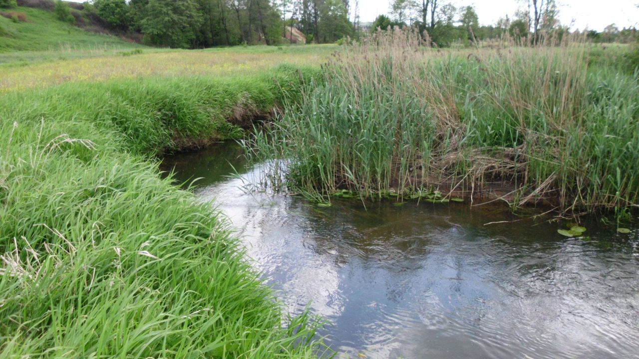 Działka rolno-budowlana Wierna Rzeka