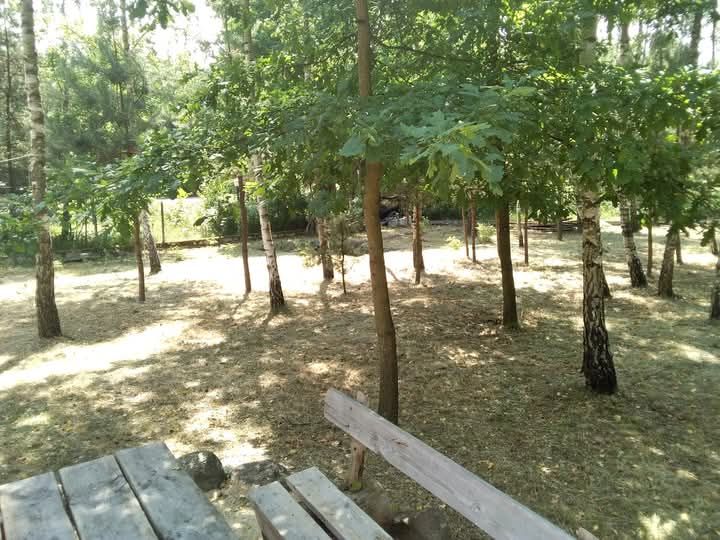 Działka budowlana Brudnów. Zdjęcie 7