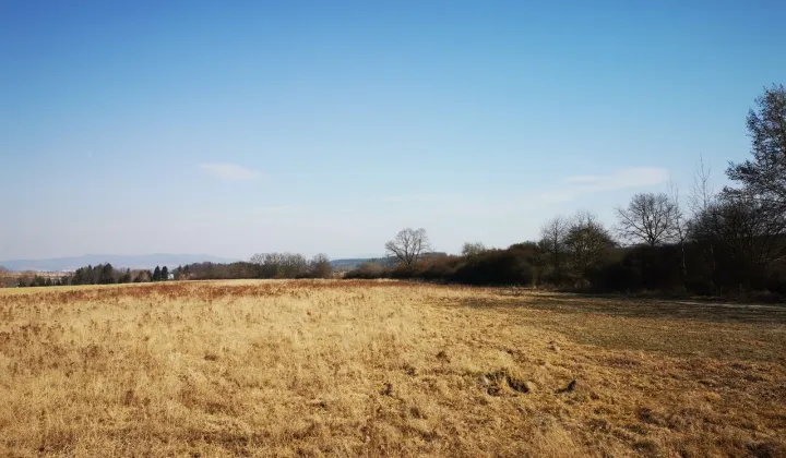 Działka budowlana Stary Wielisław