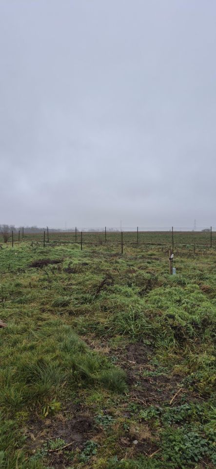 dom wolnostojący, 4 pokoje Michalin. Zdjęcie 19