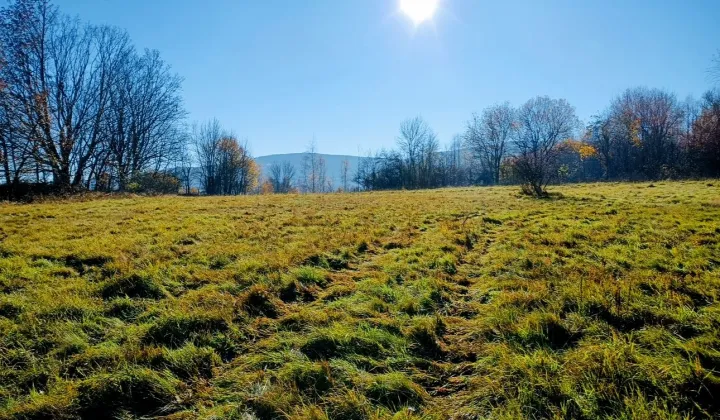 Działka inwestycyjna Polanica-Zdrój Nowy Wielisław, ul. Graniczna
