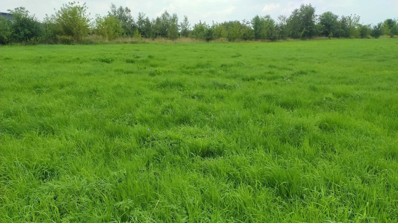 Działka rolno-budowlana Radom, ul. Brzustowska. Zdjęcie 2