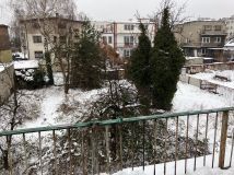 kamienica, 10 pokoi Sosnowiec Centrum, ul. Willowa. Zdjęcie 3