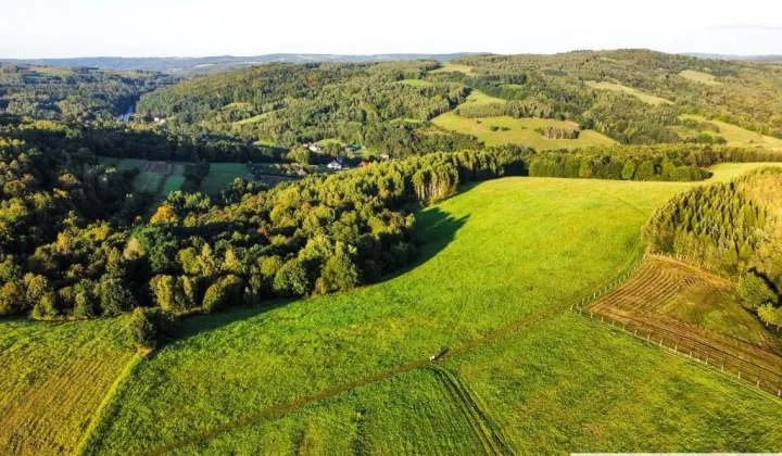 Działka rolna Lutcza