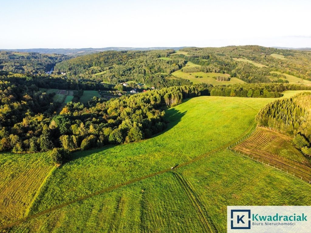 Działka rolna Lutcza