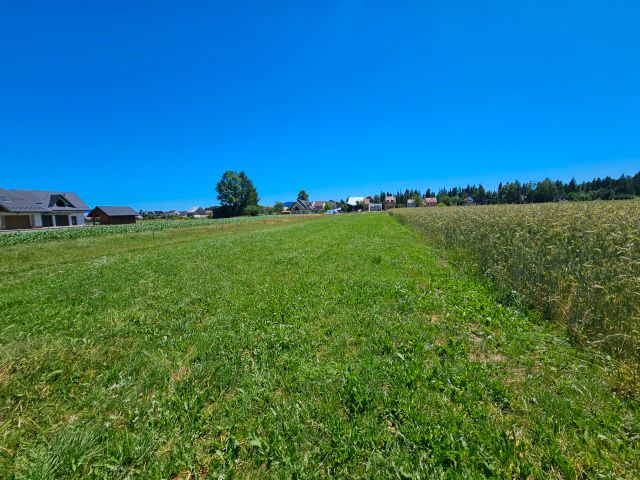 Działka budowlana Nowa Biała. Zdjęcie 8