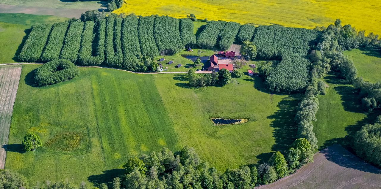 gospodarstwo, 9 pokoi Golubie Wężewskie. Zdjęcie 2