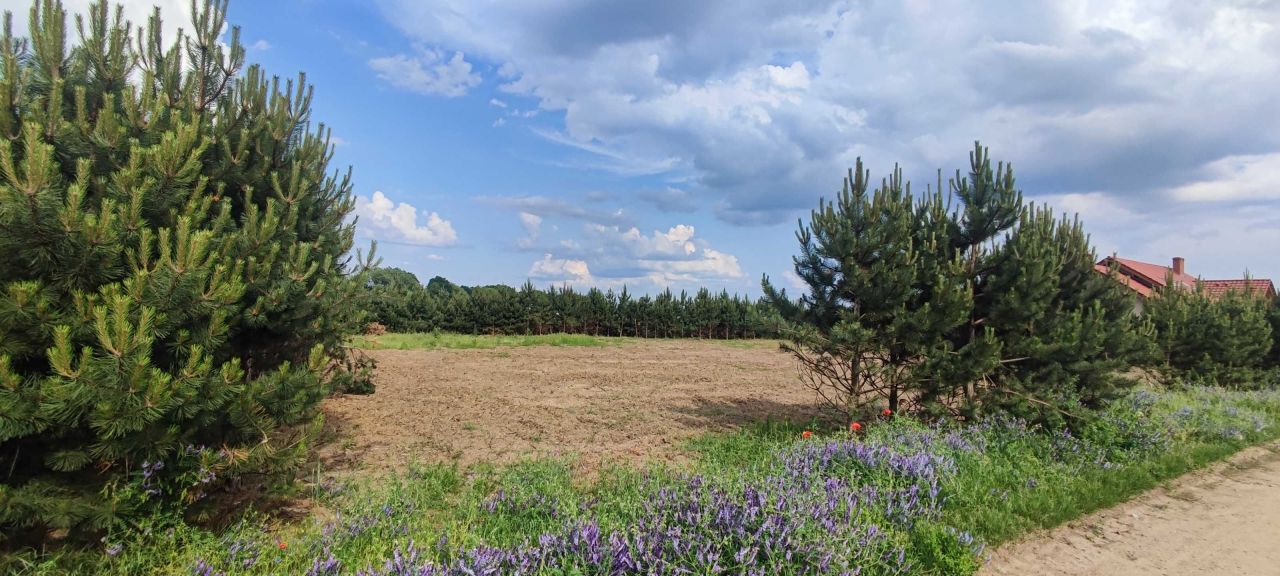 Działka budowlana Grzebienisko. Zdjęcie 2