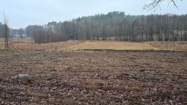 Działka rolno-budowlana Świeszyno. Zdjęcie 1