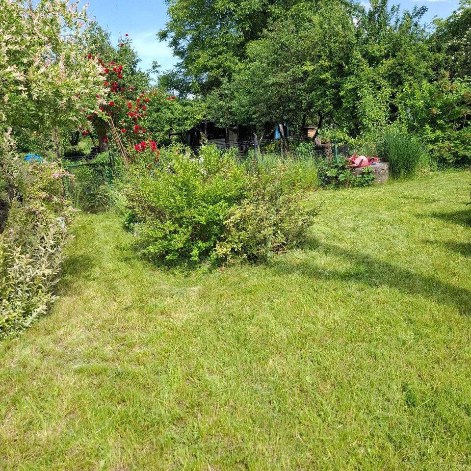 Działka rod Wrocław Krzyki, ul. Bardzka. Zdjęcie 6